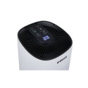 Noveen DH450 dehumidifier 1 L 70 W White