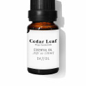 Ēteriskā Eļļa Daffoil Cedar Leaf Ciedrs 10 ml