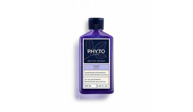 Styling Cream Phyto Paris Violet 250 ml