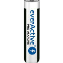 Batteries EverActive LR03 1,5 V AAA (10 Units)