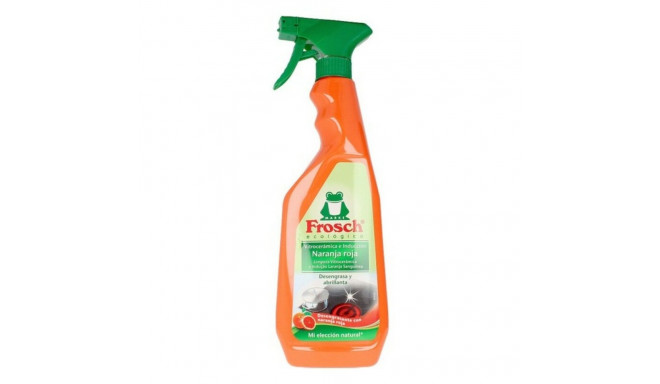 Surface cleaner Kitchen Frosch Localization_B07GB81L71 (750 ml) 750 ml