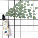 Anti-odour hair spray Phyto Paris Phytodetox Värskendav (150 ml)