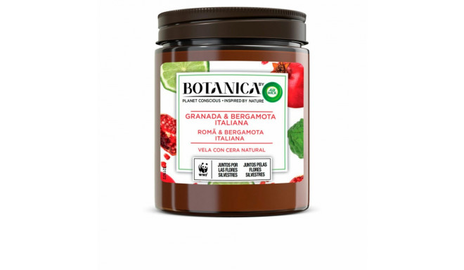 Scented Candle Air Wick Botanica Pomegranate Bergamot 205 g