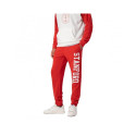 Champion Stanford University Ribbed Cuffs Pants M 218570.RS010 (S)