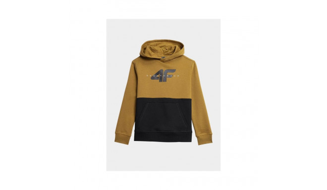 4F Jr sweatshirt 4FJAW23TSWSM628-74S (122)