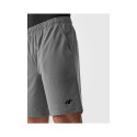 4F M shorts 4FAW23TFSHM299-27M (M)