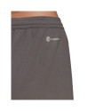 Adidas Entrada 22 W shorts HH9995 (M)