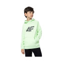 4F kids' sweatshirt Jr. 4FJSS23TSWSM220 42S (122cm)