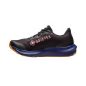 Running shoes Asics Gel-Pulse 14 Gtx W 1012B317 001 (41,5)