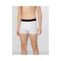 4F men's boxer shorts M H4Z22-BIM350-92S (L) 4F men's boxer shorts M H4Z22-BIM350-92S (L)