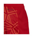 Goalkeeper shorts adidas Condivo 22 M H18814 (L)