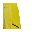 Goalkeeper shorts adidas Condivo 22 M HF0141 (M)