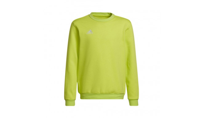 Adidas Entrada 22 Sweat Top Jr HC5043 sweatshirt (128cm)