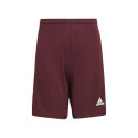 Adidas Squadra 21 Short Jr GN8081 (176cm)