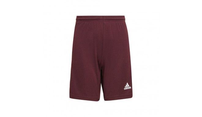 Adidas Squadra 21 Short Jr GN8081 (176cm)