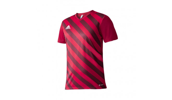 Adidas Entrada 22 Graphic Jersey Jr.H58983 (164 cm)