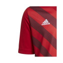 adidas Entrada 22 Graphic Jersey Jr.H58983 (164cm)