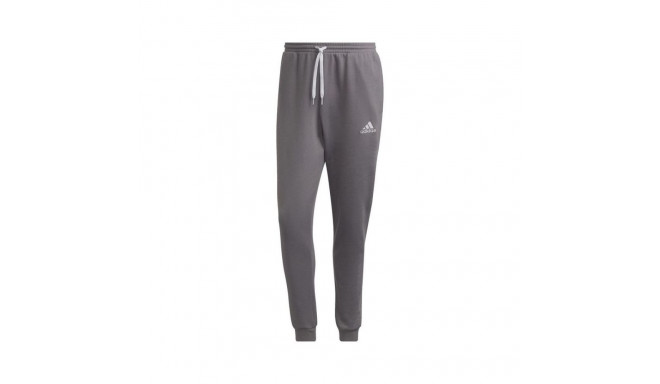 Adidas Entrada 22 Sweat M H57531 pants (XXL)