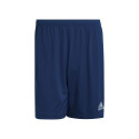 Adidas Entrada 22 M H57506 shorts (L (183cm))