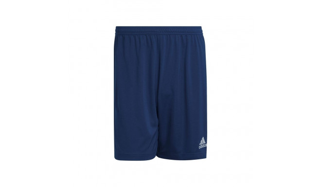 Adidas Entrada 22 M H57506 shorts (XL (188cm))