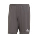 Adidas Entrada 22 M H57505 shorts (M)