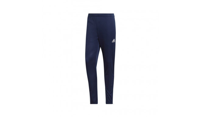 Adidas Entrada 22 Training Panty M HC0333 (XXL)