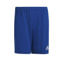 Adidas Entrada 22 M HG6294 shorts (XL)