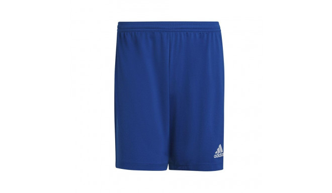 Adidas Entrada 22 M HG6294 shorts (3XL)