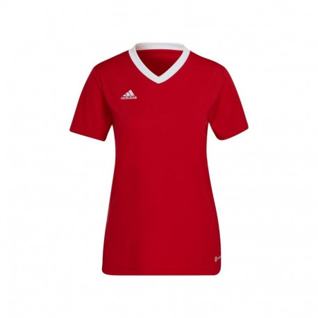 Adidas Entrada 22 Jsy W T-shirt H57571 (L)