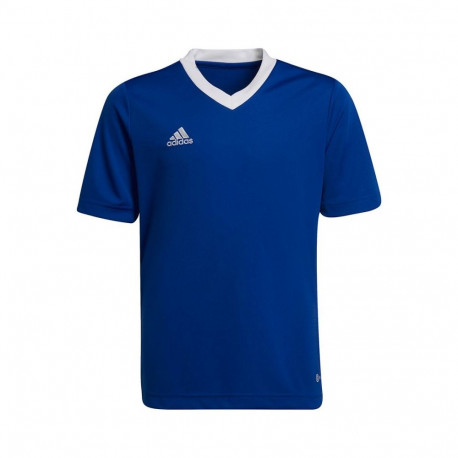 Adidas Entrada 22 Jsy Jr T-shirt HG3948 (140 cm)