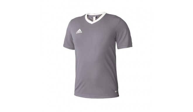 Adidas Entrada 22 Jsy Jr T-shirt H57499 (164 cm)