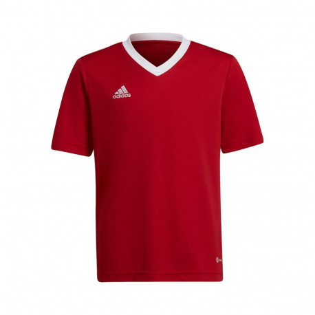 Adidas Entrada 22 Jsy Jr T-shirt H57496 (140cm)