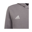 adidas sweatshirt Entrada 22 Hoody Jr H57515 164cm