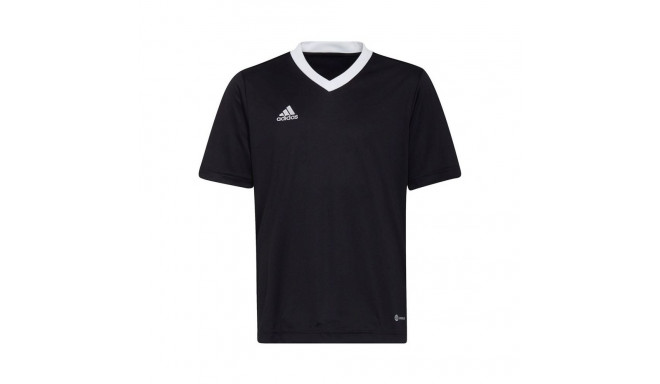 Adidas Entrada 22 Jsy Jr T-shirt H57497 (164 cm)
