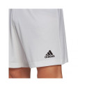 Adidas Entrada 22 M HG6295 shorts (M)