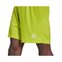 Adidas Entrada 22 M HC5061 Shorts (S)