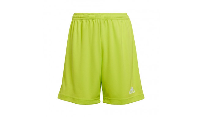 Adidas Entrada 22 Jr HC5065 shorts (152cm)