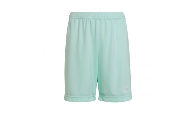 Adidas Entrada 22 Jr HC5058 shorts (116 cm)