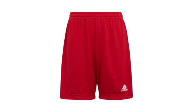 Adidas Entrada 22 Jr H57501 shorts (116 cm)