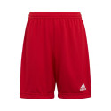 Adidas Entrada 22 Jr H57501 shorts (176cm)