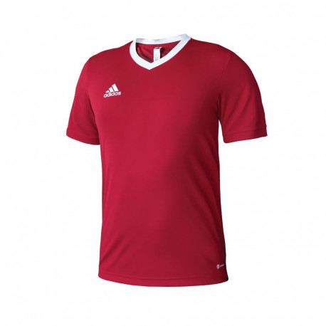 Adidas Entrada 22 M T-shirt H61736 (XL (188cm))
