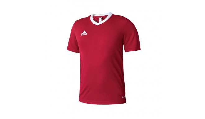 Adidas Entrada 22 M T-shirt H61736 (L (183cm))