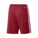 Adidas Squadra 21 Short M GN5771 (XXL)