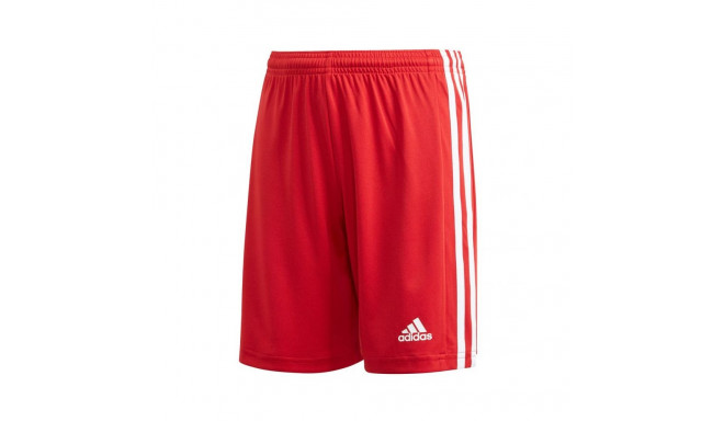 Adidas Squadra 21 Short Youth Jr GN5761 (128cm)