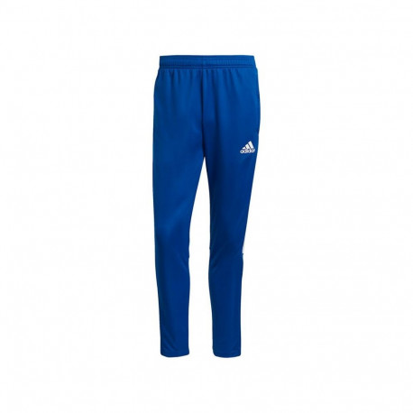 Adidas Tiro 21 Training M GJ9870 pants (S)