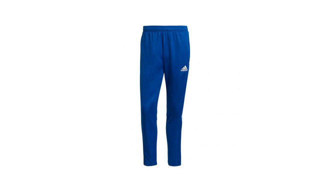 Adidas Tiro 21 Training M GJ9870 pants (M)