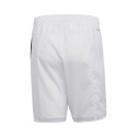 Adidas Condivo 20 M FI4571 shorts (XS)