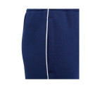 Adidas Core 18 Sweat Pant Jr CV3958 pants (116cm)