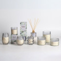 Reed diffuser NATURE GREEN 100ml, Northern Forest