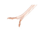 SPEAKER CABLE 2X4.0MM2 100M TRANSPARENT LANBERG